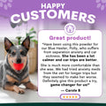 Stress + Anxiety for Dogs
