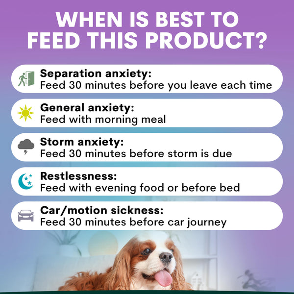 Stress + Anxiety for Dogs