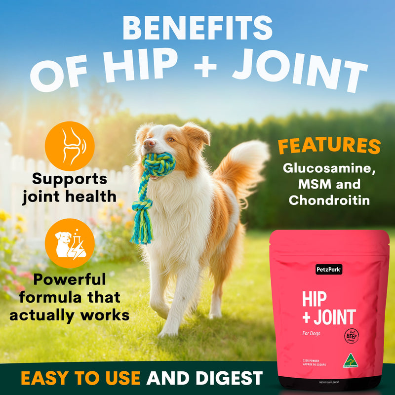 Dog playing with a toy in a field, promoting a hip and joint supplement with text about its benefits.