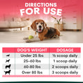 Dog with a green ball on a carpeted floor, with a dosing chart for dogs displayed.