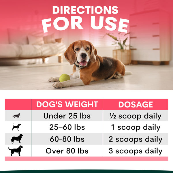 Dog with a green ball on a carpeted floor, with a dosing chart for dogs displayed.