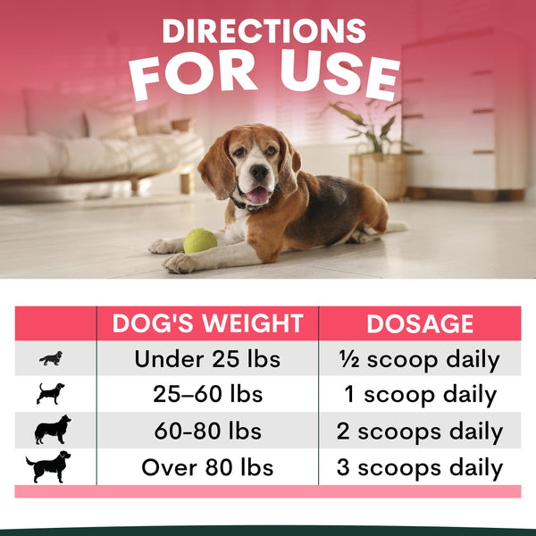 Hip + Joint for Dogs