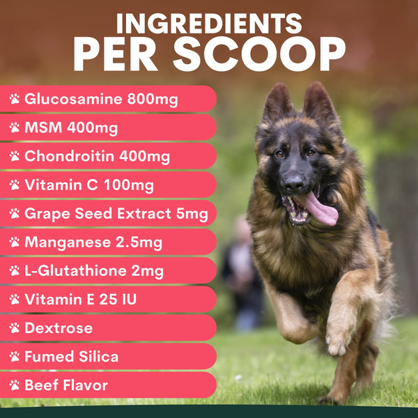Hip + Joint for Dogs
