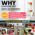 Hip + Joint for Dogs