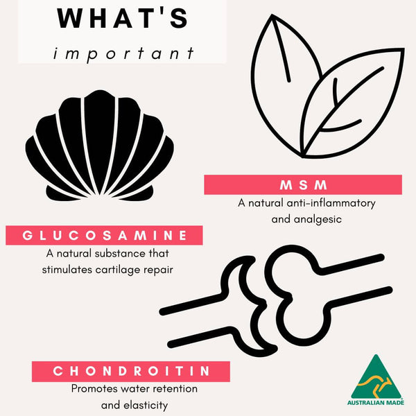 best ingredients to fight inflammation, alleviate pain and lubricate joints