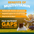 Multivitamin for Dogs