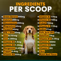 Ingredients Multivitamin for Dogs