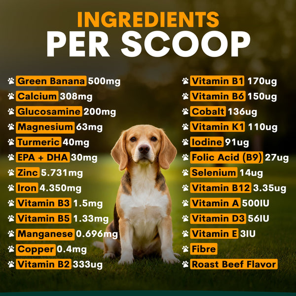 Ingredients Multivitamin for Dogs
