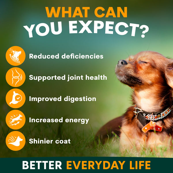 Multivitamin for Dogs