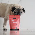 glucosamine for dogs to help with arthritis