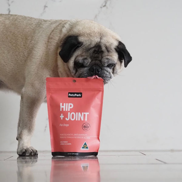 glucosamine for dogs to help with arthritis