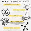 what does cognitive products for dogs do, glutamine, bacopa monnieri, green tea, ginkgo biloba, arginine
