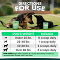 Probiotics for Dogs