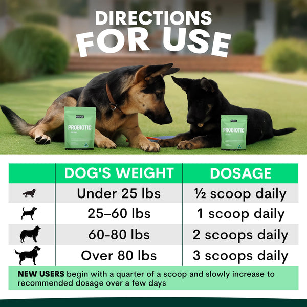 Probiotics for Dogs