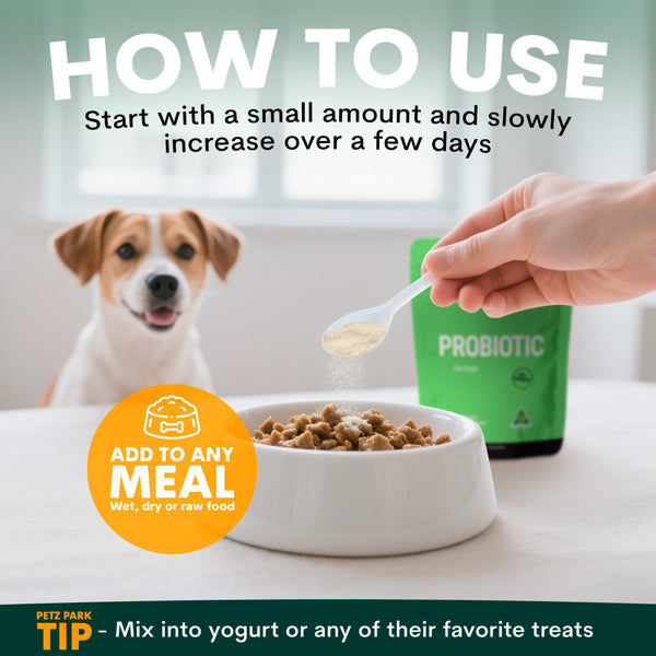 Probiotics for Dogs