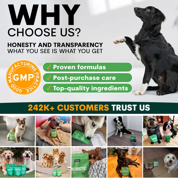 Promotional graphic for a pet product brand with images of dogs and text about honesty, transparency, and customer trust.