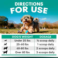 Dog playing with a toy in a park with a dosage chart for a supplement on a green background