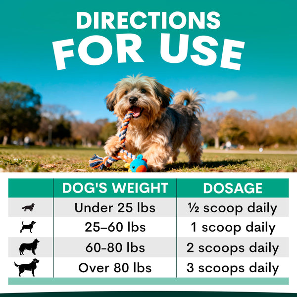 Dog playing with a toy in a park with a dosage chart for a supplement on a green background