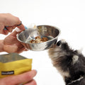 mini schnauzer eating cognitive support dogs supplement, dog supplements uk