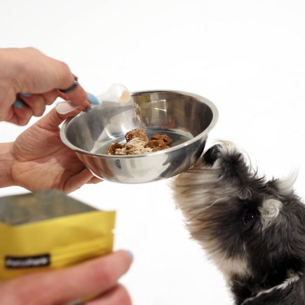 mini schnauzer eating cognitive support dogs supplement, dog supplements uk