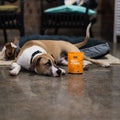 multivitamin for dogs and ridgeback cross dog