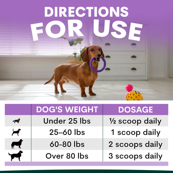 Dog with a purple toy and dosage chart for a pet supplement on a light background