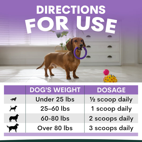 Stress + Anxiety for Dogs