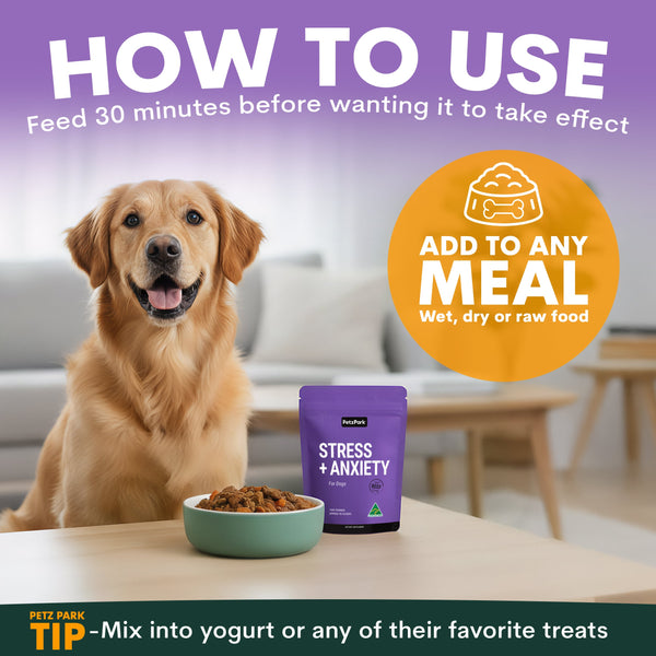 Stress + Anxiety for Dogs