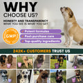 Stress + Anxiety for Dogs