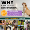 Advertisement for a pet product brand with images of dogs and text about honesty, transparency, and customer trust.