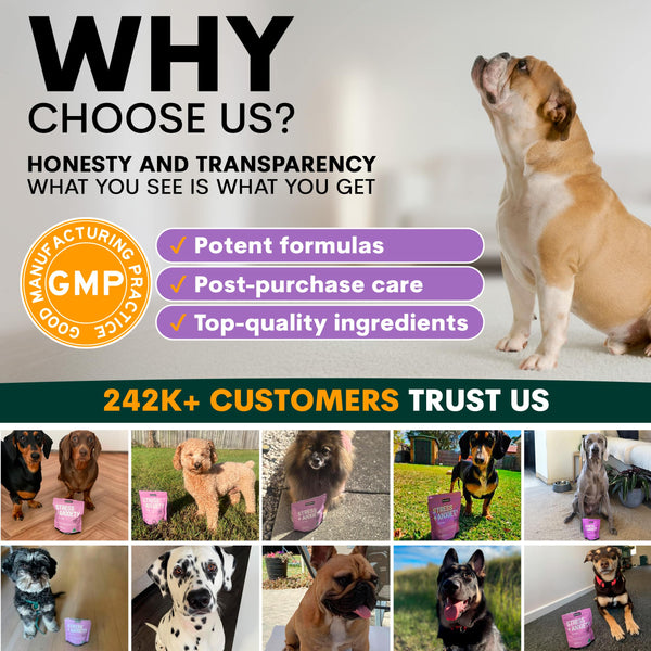 Advertisement for a pet product brand with images of dogs and text about honesty, transparency, and customer trust.
