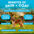 Dog standing in a field with text highlighting the benefits of skin and coat care.