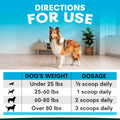 Dog standing in a room with a dosing chart for dogs on a blue background