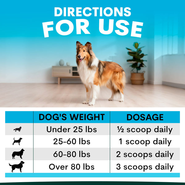 Dog standing in a room with a dosing chart for dogs on a blue background