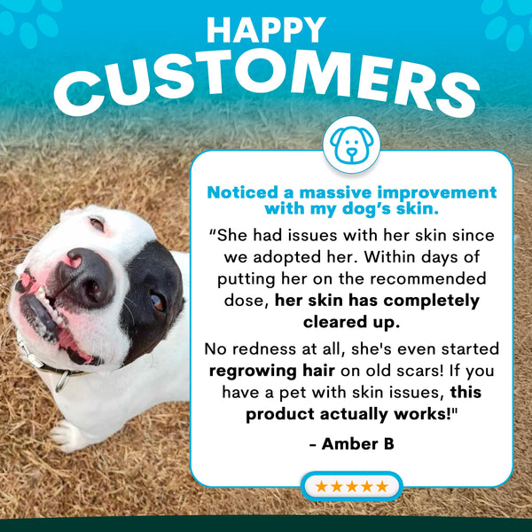 Dog with happy customers text and testimonial on a grass background