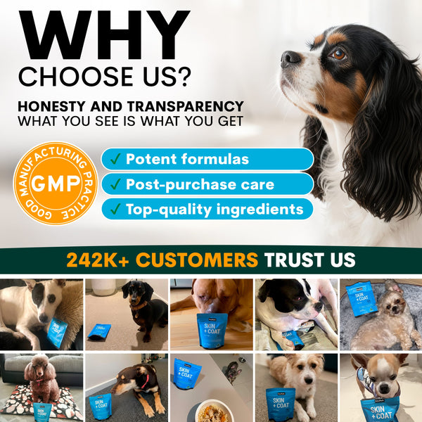 Promotional graphic for a pet care product with a dog and text about trust and quality.