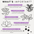 what stress and anxiety ingredients do in petz park product, valerian root for dogs, chamomile for dogs