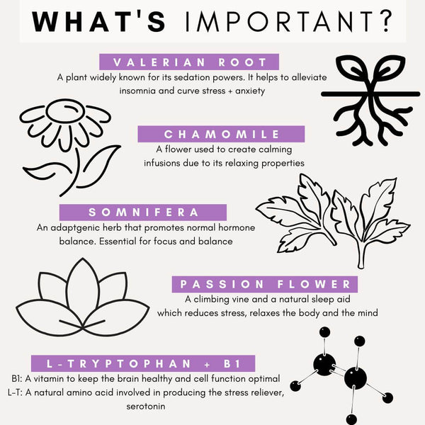 what stress and anxiety ingredients do in petz park product, valerian root for dogs, chamomile for dogs