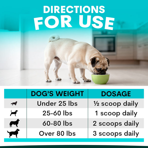 Dog eating from a bowl with dosing chart for different dog weights on a blue background