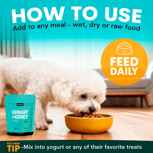 Dog eating from a bowl with a package of Petz Park Urinary + Kidney food, and text on how to use the product.