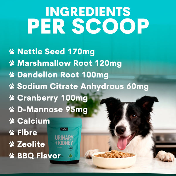 Dog eating from a bowl with a supplement container labeled 'Urinary + Kidney' and ingredient list on a teal background.