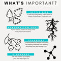 urinary and kidney supplements for dog, what do the ingredients do