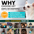 Promotional graphic for a pet product brand with a dog and text about honesty, transparency, and customer trust.