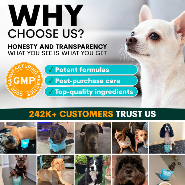 Promotional graphic for a pet product brand with a dog and text about honesty, transparency, and customer trust.