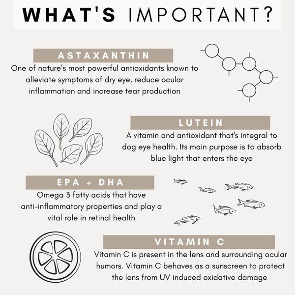 astaxanthin for dogs, lutein for dogs, omega 3 for dogs, vitamin c for dogs