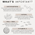 ingredients to look for cat eyes, what to give cat with cataracts, cat eye infections