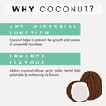coconut for cats, is coconut safe for cats
